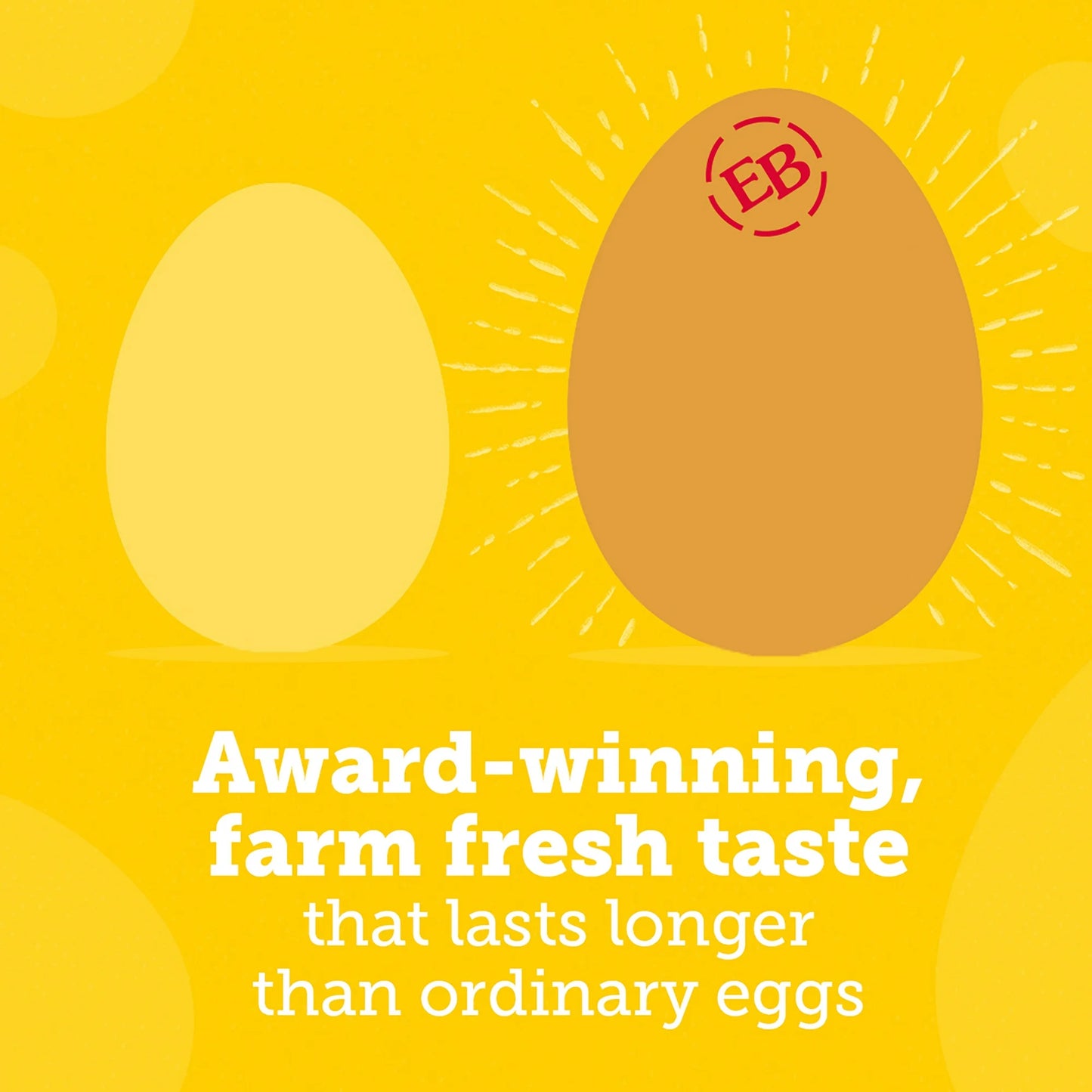 Eggland's Best Cage Free Large Brown Eggs, 12 Count