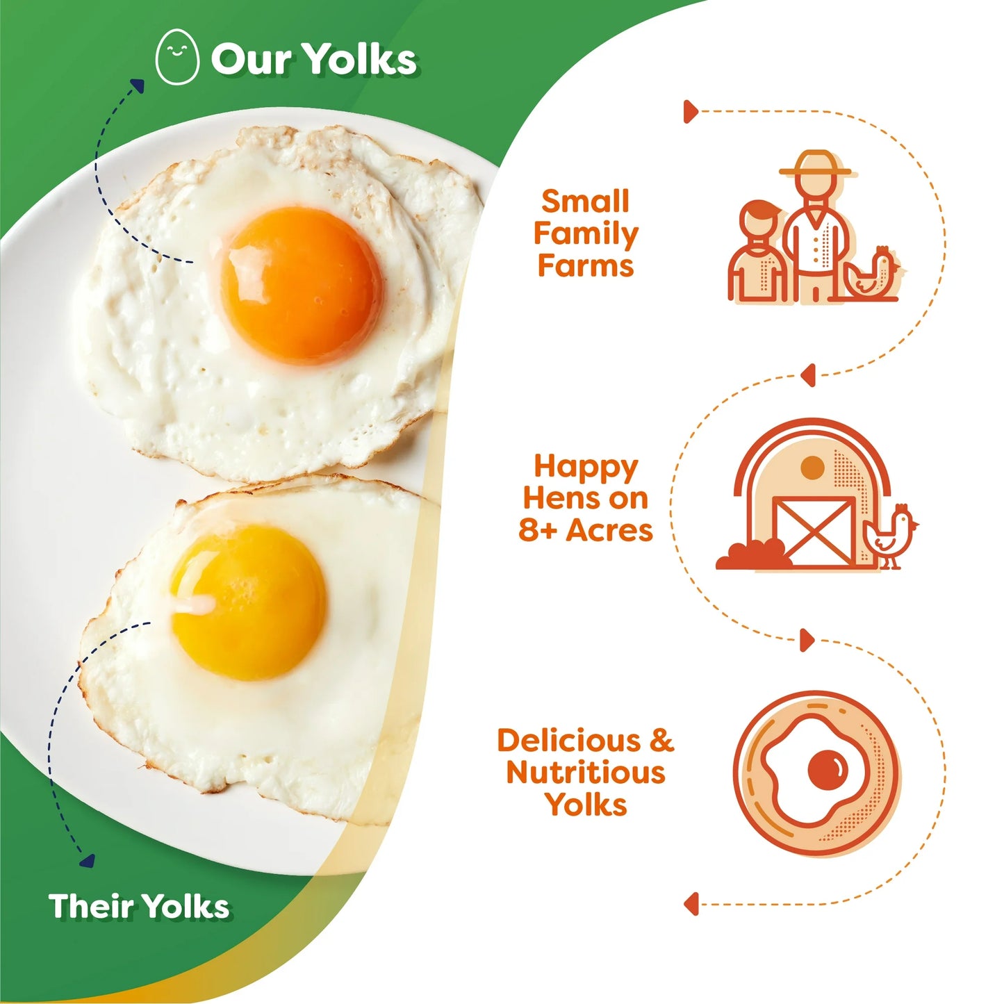 Happy Egg Co Organic Free-Range Large Brown Eggs, 12 Count (Dozen)