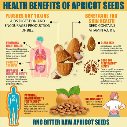 Richardson Nutritional Center Fresh Raw Bitter Apricot Seeds (1 LB) 16oz - California Grown Kernels with B Vitamins, Minerals, Protein - Lab Tested, Vegan, No Gluten or GMO